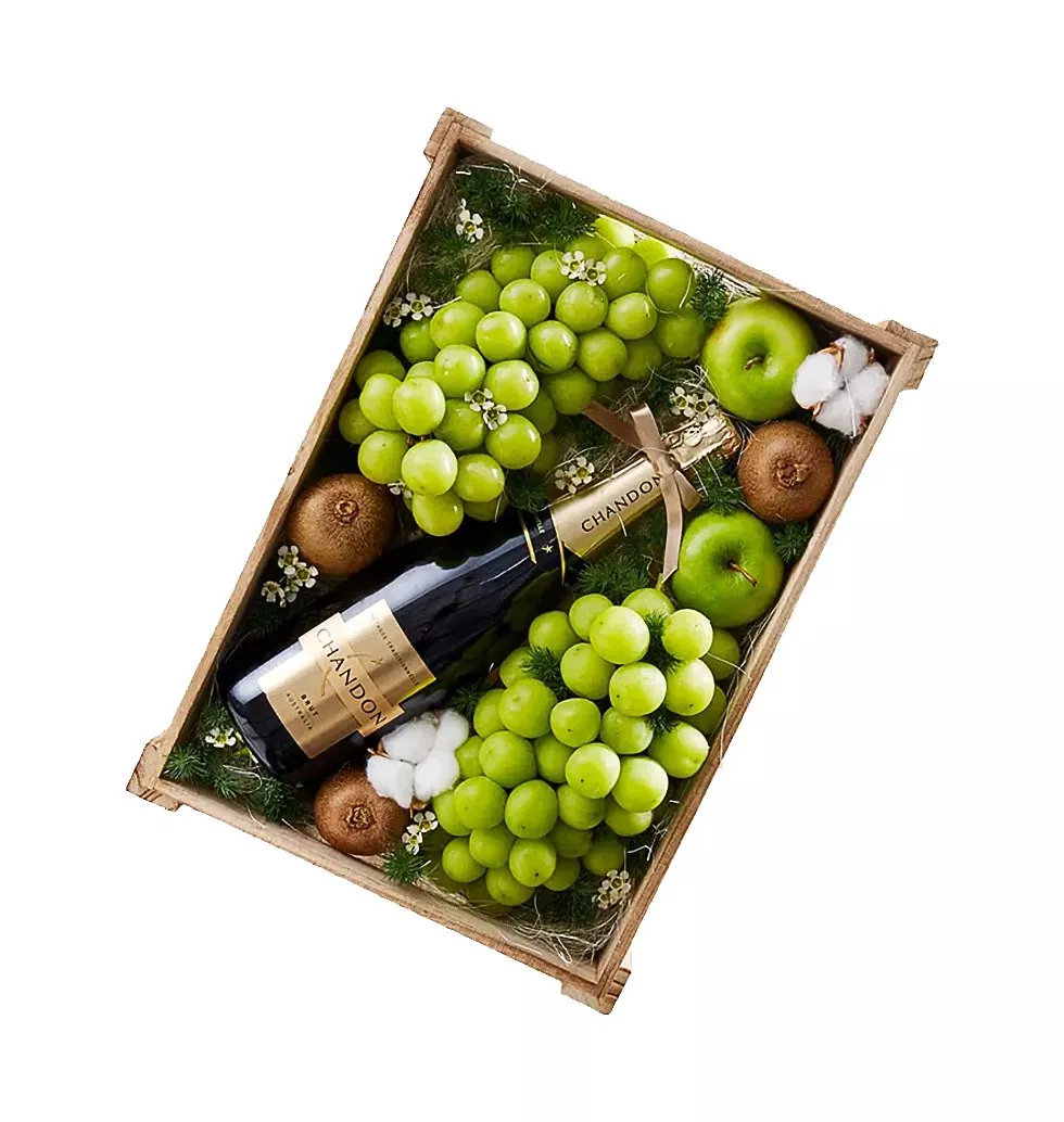 The Healthy And Wealthy Box